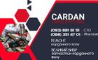 Cardan Drive System