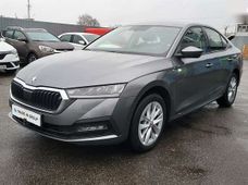 Купити Skoda бу в Києві - купити на Автобазарі