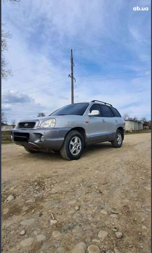 Hyundai Santa Fe 2003 серый - фото 2