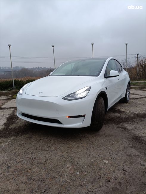 Tesla Model Y 2023 белый - фото 2