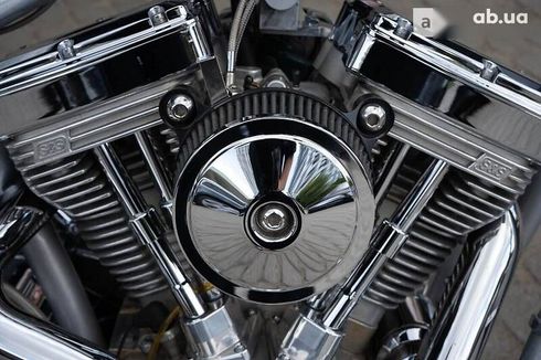 Big Dog Pitbull 2003 - фото 20