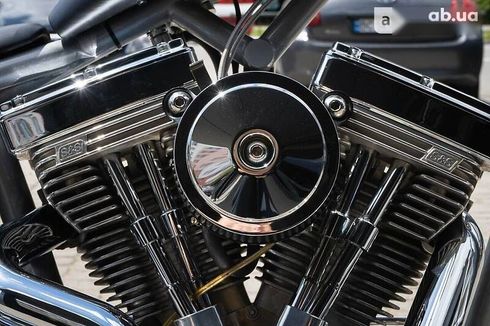 Big Dog Pitbull 2003 - фото 14