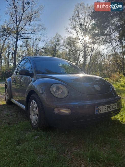 Volkswagen New Beetle 2002 серый - фото 10