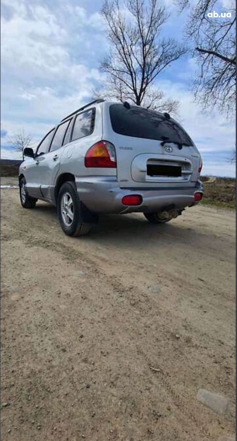 Hyundai Santa Fe 2003 серый - фото 19