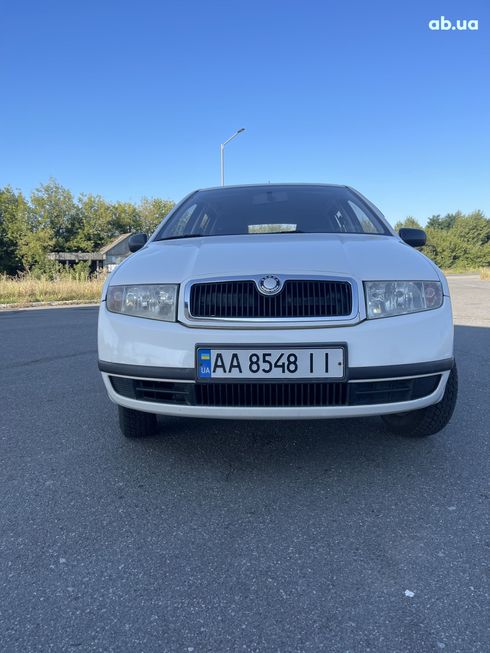 Skoda Fabia 2002 белый - фото 12