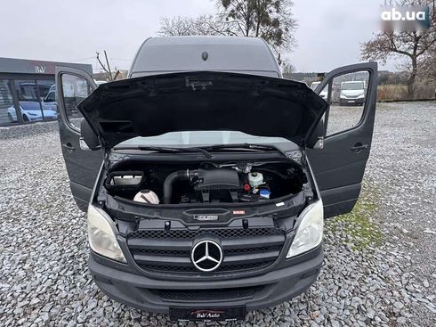 Mercedes-Benz Sprinter 2009 - фото 20