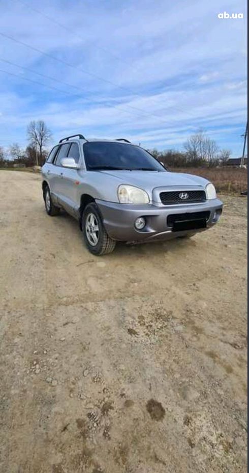 Hyundai Santa Fe 2003 серый - фото 10