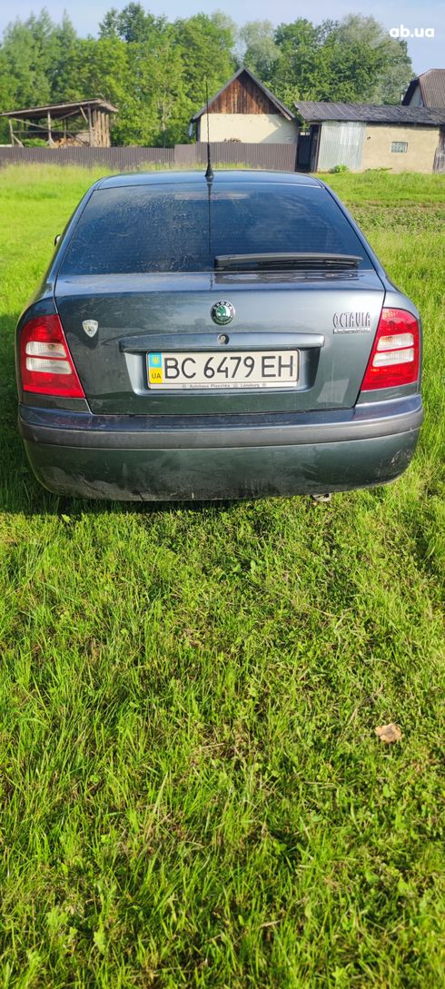 Skoda Octavia 2004 серый - фото 5