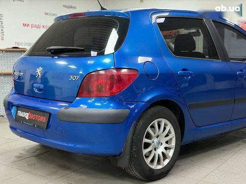 Peugeot 307 2004 - фото 13