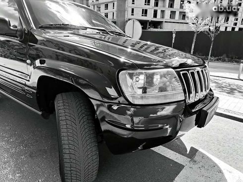 Jeep Grand Cherokee 2002 - фото 28