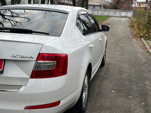 Skoda octavia a7 2013 белый - фото 15
