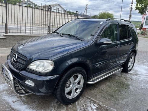 Mercedes-Benz M-Класс 2003 синий - фото 13
