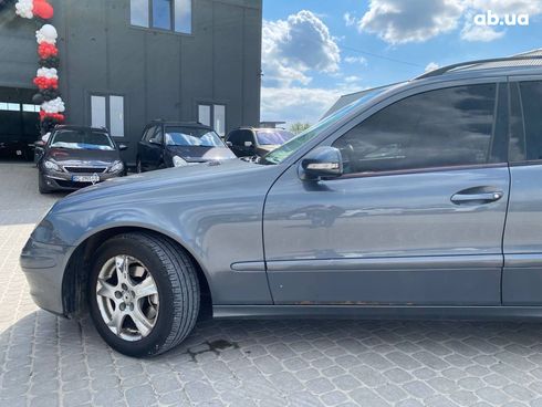 Mercedes-Benz E-Класс 2006 серый - фото 13