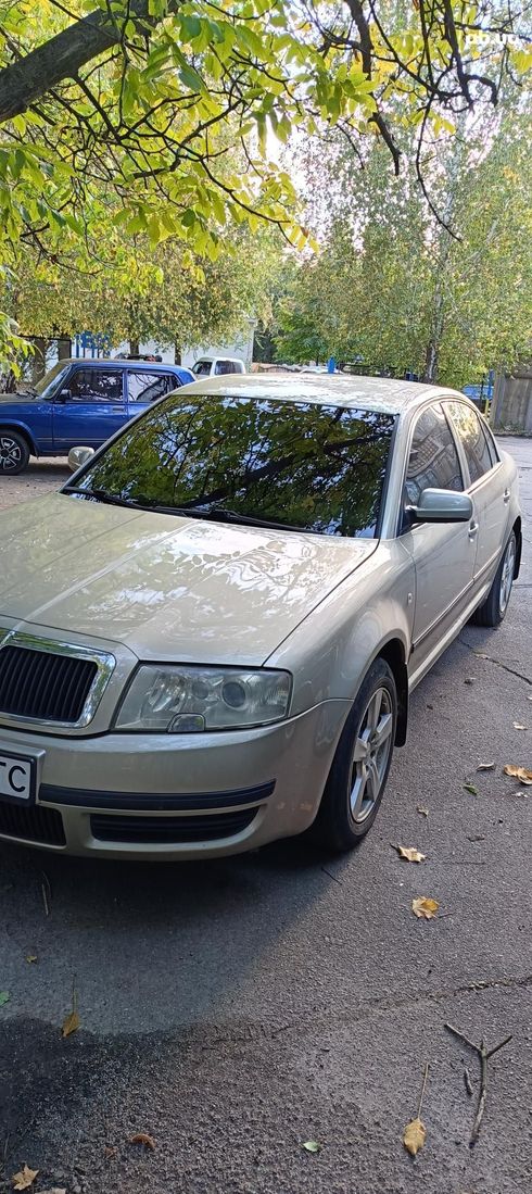 Skoda Superb 2005 бежевый - фото 4