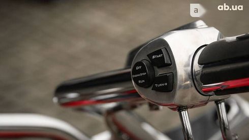 Big Dog Pitbull 2005 - фото 16