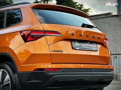 Skoda Karoq 2024 - фото 14