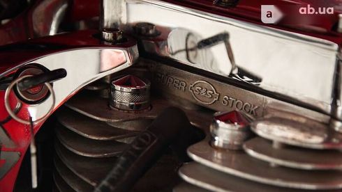 Big Dog Pitbull 2005 - фото 21