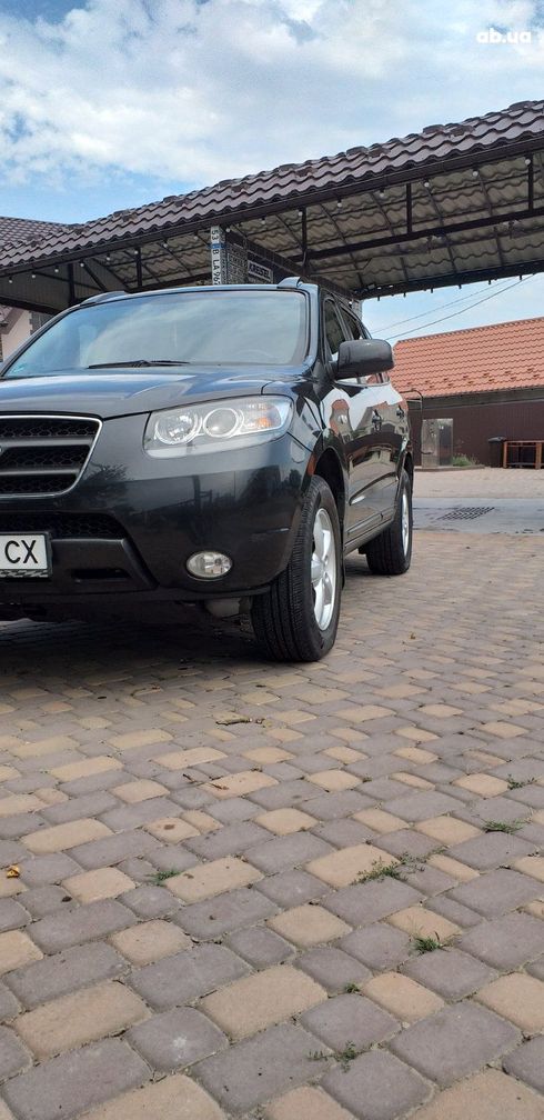 Hyundai Santa Fe 2006 черный - фото 13