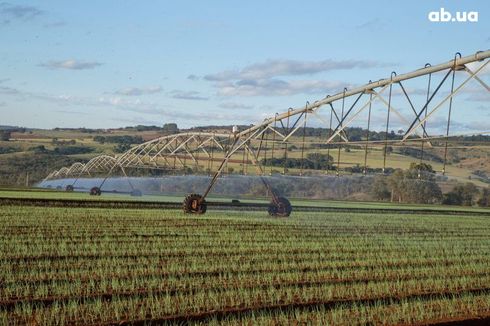 Valley 2025 - фото 5