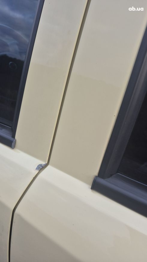 Fiat Panda 2009 желтый - фото 6