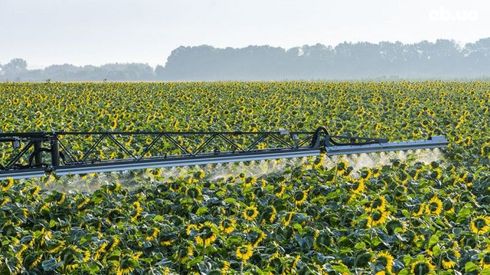 HORSCH Leeb 8.280 VL 2025 - фото 3