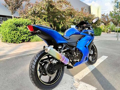 Kawasaki Ninja 2009 - фото 20