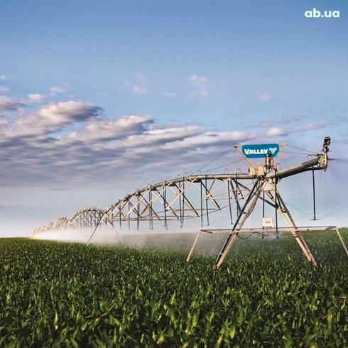 Valley 2025 - фото 10