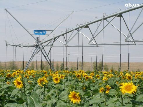 Valley 2025 - фото 6