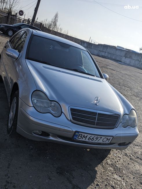 Mercedes-Benz C-Класс 2002 серый - фото 20