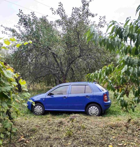 Skoda Fabia 2004 синий - фото 5