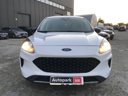 Ford Escape 2019 белый - фото 2