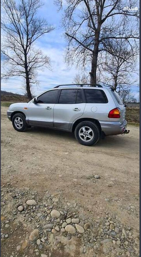 Hyundai Santa Fe 2003 серый - фото 16