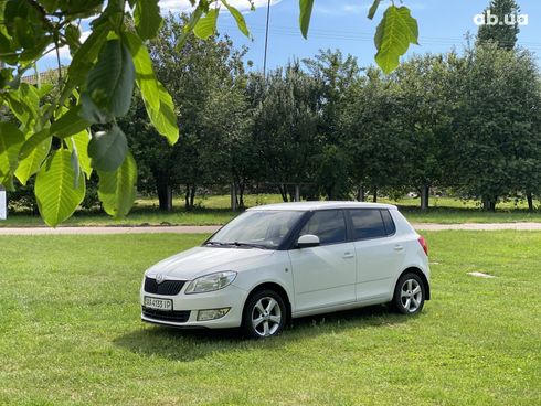 Skoda Fabia 2012 белый - фото 11