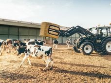 Продажа новую спецтехнику в Украине - купить на Автобазаре