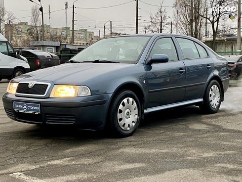Skoda Octavia 2006 серый - фото 11