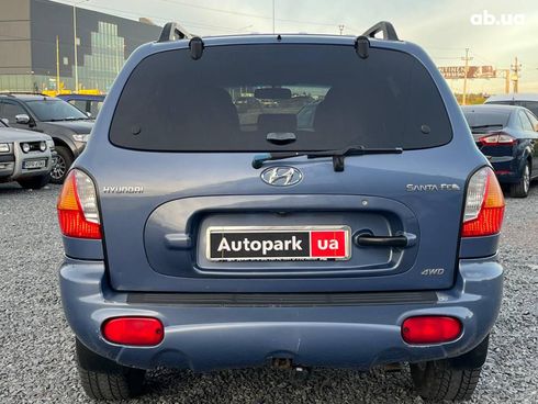 Hyundai Santa Fe 2003 синий - фото 8