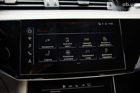 Audi Q8 e-tron 2023 - фото 28