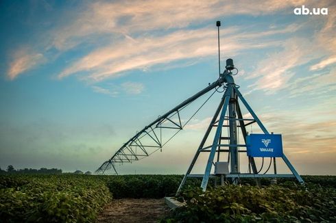 Valley 2025 - фото 9